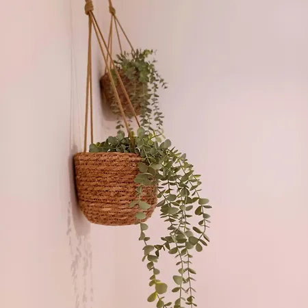 Nomada - Surf & Pilgrim House