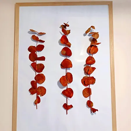 Nomada - Surf & Pilgrim House San Vicente De La Barquera