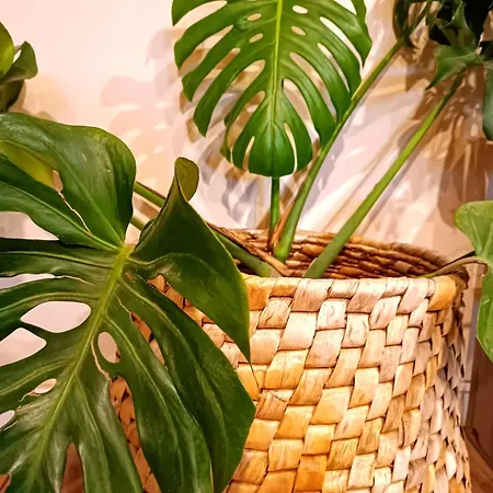 Nomada - Surf & Pilgrim House Hostel