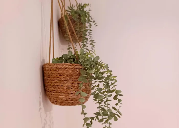 Nomada - Surf & Pilgrim House