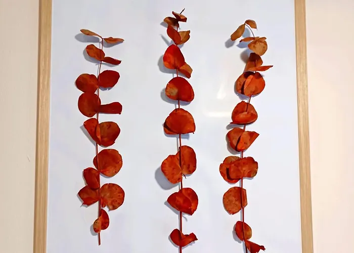 Nomada - Surf & Pilgrim House סן ויסנטה דה לה ברקרה