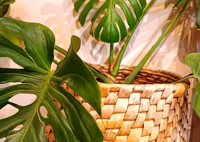 Nomada - Surf & Pilgrim House Хостел